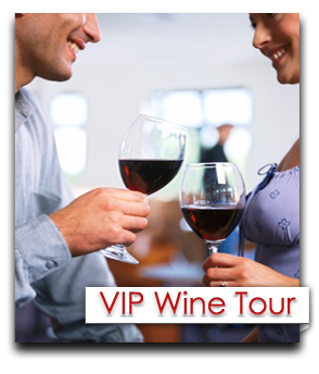 Wine-Tour