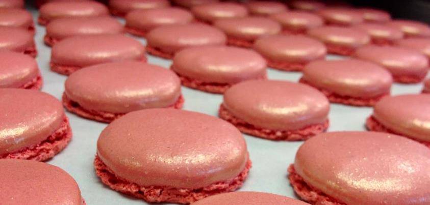 386535_451660061562687_873476793_n