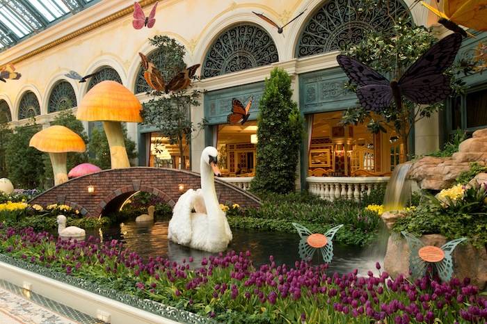 fcf70947-0ed3-4b2a-83ef-c71c42b65b5e