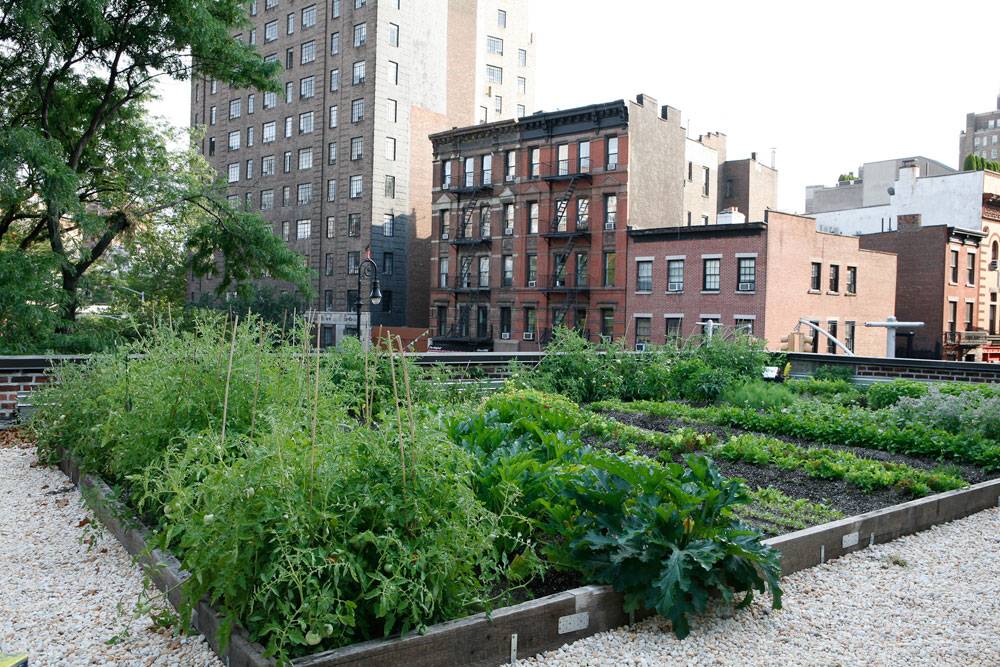 Brian-Park---Rosemary's