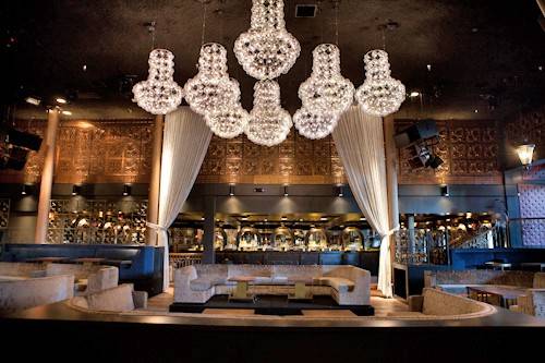 Elizabeth Daniels 11/11