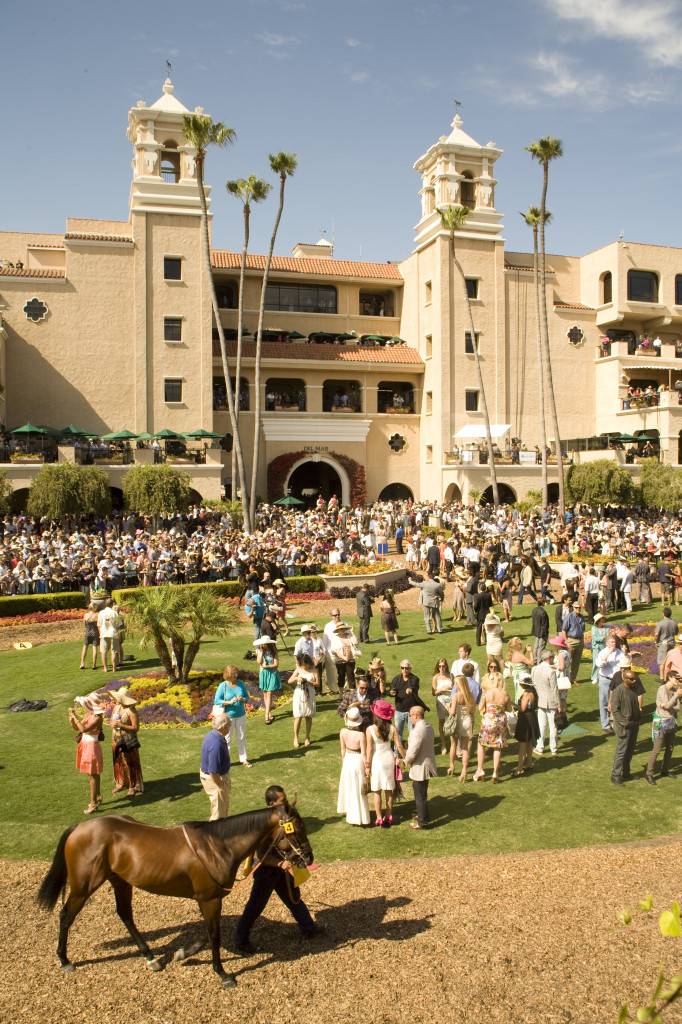 Paddock-2012-682x1024