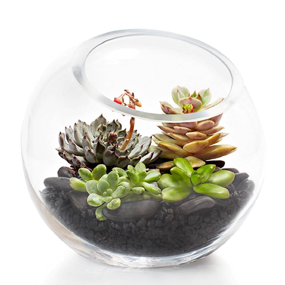 orig-fishbowl