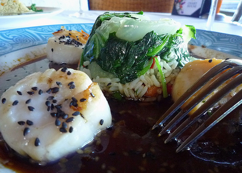 3514363722_634dd23476