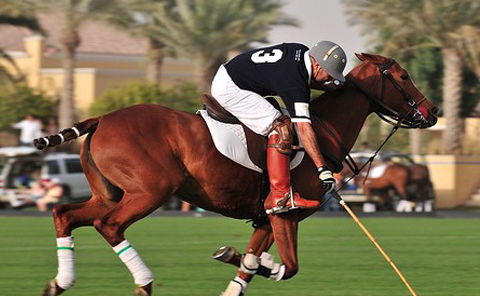 dubaipolo_blog.jpg