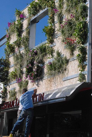 louboutin_HV_20091201121246