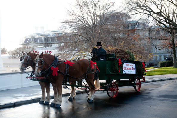 michelleobamareceiveswhitehousechristmascf1hzn0gds9l michelleobamareceiveswhitehousechristmascf1hzn0gds9l