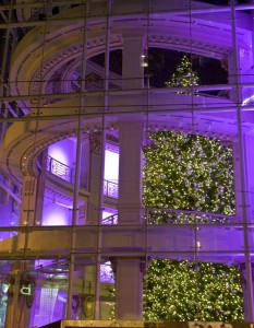 neimantree800 neimantree800