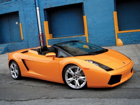 orangespyder4.jpg