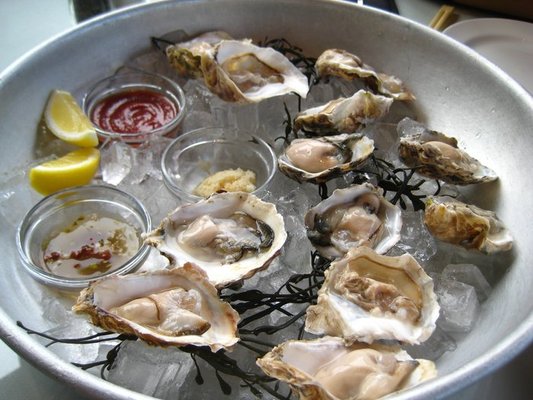 oysters