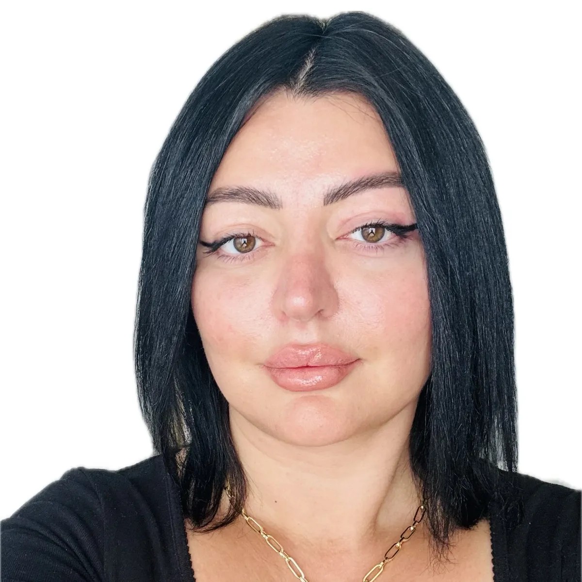 Liana Serobian, Appellate Law attorney in Glendale